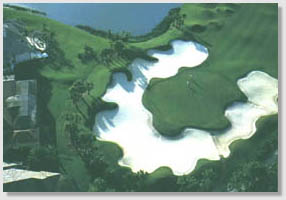 southwest florida golfing