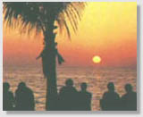 southwest florida real estate sale